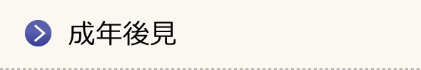 成年後見